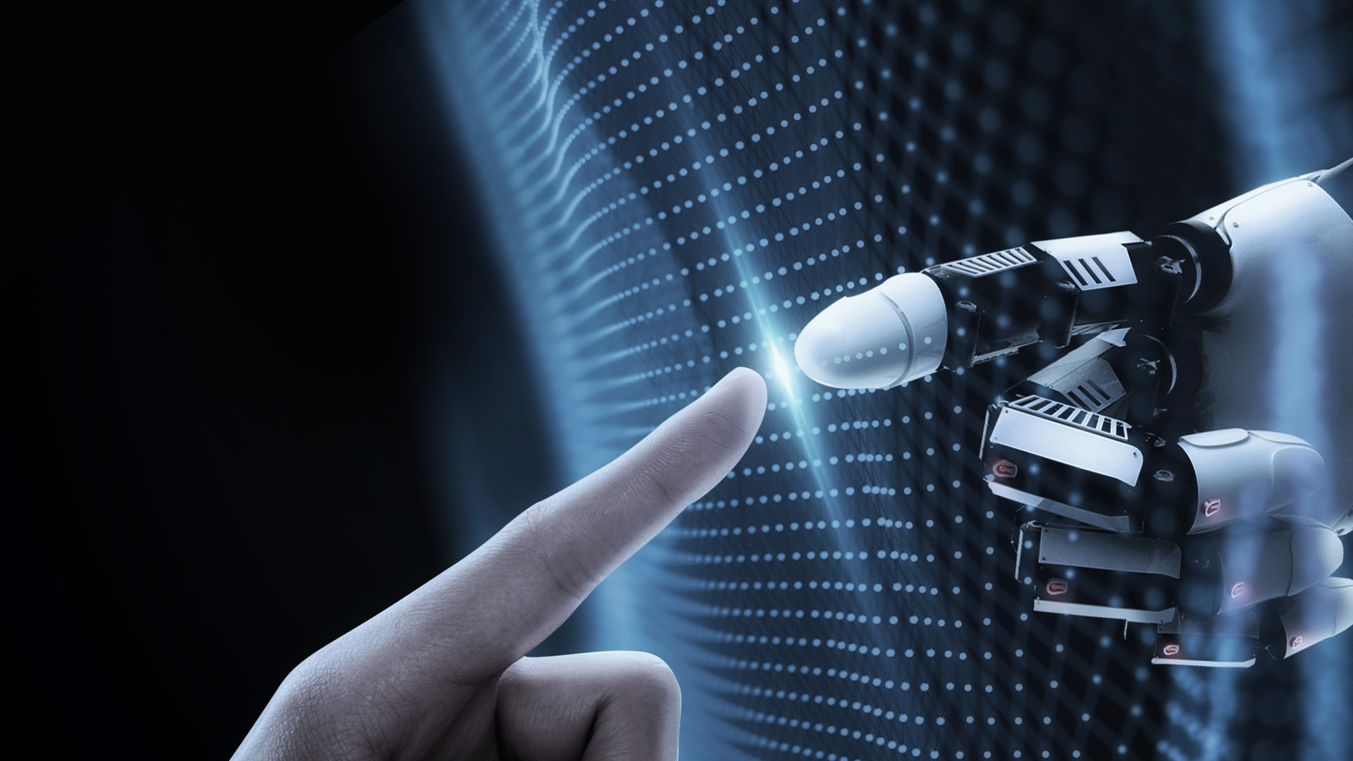 关于金沙6165总站